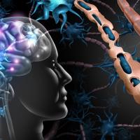 Modified HIV drug reverses vision loss and paralysis in multiple sclerosis model