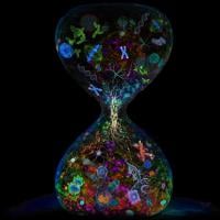 NIH research establishes new framework for the role of senescence in aging